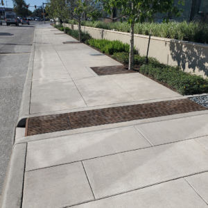 Curb Inlet with decorative grates covering runnel across sidewalk to bioswale on other side.