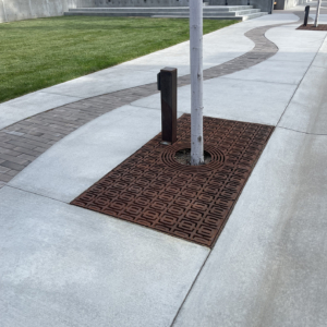 Decorative cast iron tree grate in Carbochon pattern.