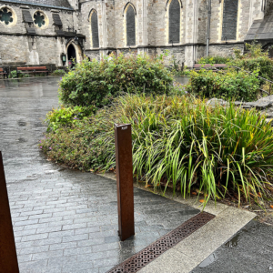 Decorative cast iron trench grates in Interlaken pattern in front of Christ Church Cathedral in Dublin