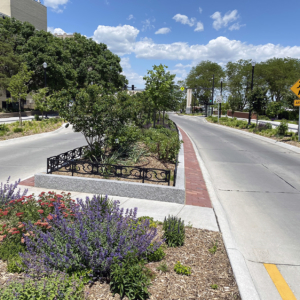 Decorative planter in road median, surrounded by custom cast iron planter fence.