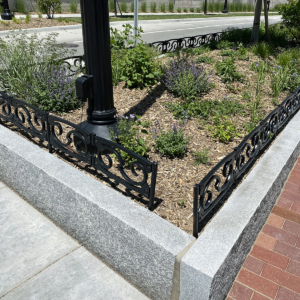 Decorative planter in road median on college campus, surrounded by custom cast iron planter fence.