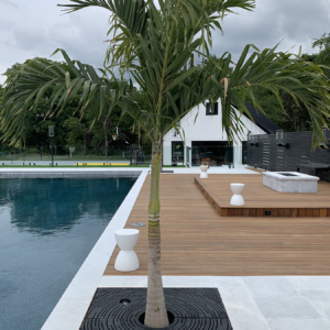 Decorative cast iron tree grate with concentric circular 'Spin' design