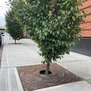 Decorative cast iron tree grate with concentric circular 'Spin' design