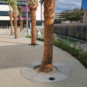 Decorative cast aluminum tree grate with concentric circular 'Spin' design