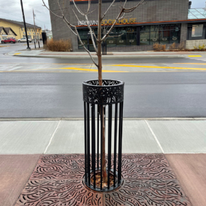 Decorative cast iron tree grate and powder coated tree guard in matching Minnione pattern