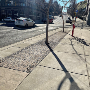 Decorative cast iron tree grate with Minnione pattern