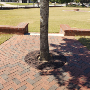 Cast iron tree grate in Oblio pattern which suggests circular ripples on water