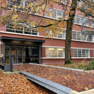 Cast metal pedestrian bridge installed in front of university building