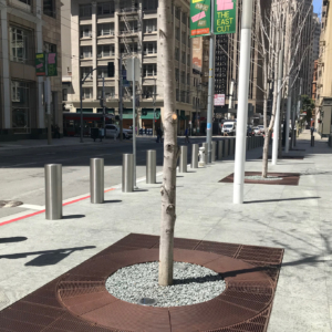 Decorative custom cast iron tree grate on San Francisco sidewalk