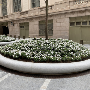 Decorative cast bronze radius trench grates in Que pattern surrounding circular planter