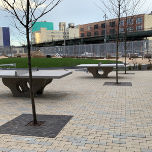 Decorative cast iron tree grates in Rain pattern installed in paver courtyard park