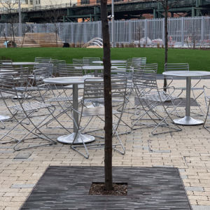 Decorative cast iron tree grates in Rain pattern installed in paver courtyard park