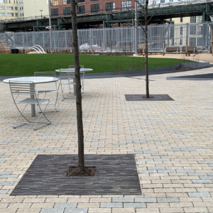 Decorative cast iron tree grates in Rain pattern installed in paver courtyard park