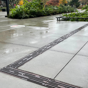 Decorative cast iron trench grate in Rain pattern