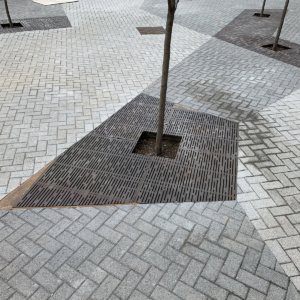 Decorative cast iron tree grate with Rain pattern