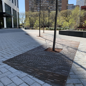 Decorative cast iron tree grate with Rain pattern