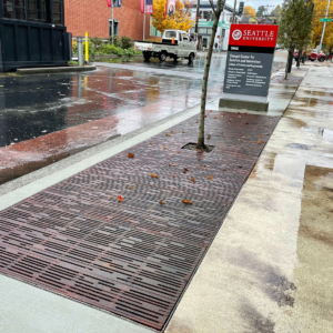 Decorative cast iron tree grate with Rain pattern