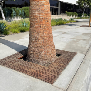 Decorative cast iron tree grate with Rain pattern