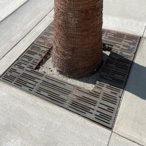 Decorative cast iron tree grate with Rain pattern