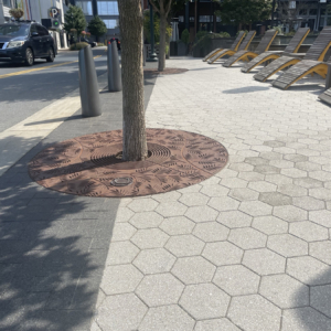 Cast iron 6' dia. tree grate with decorative Locust leaf pattern