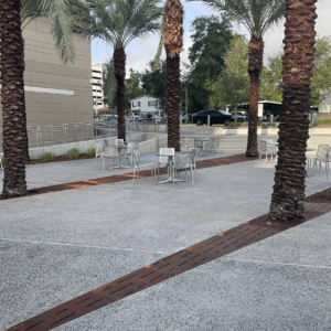 Laser cut corten steel large array tree grates with decorative Rain pattern, protecting palm trees in paved hospital courtyard