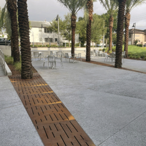 Laser cut corten steel large array tree grates with decorative Rain pattern, protecting palm trees in paved hospital courtyard