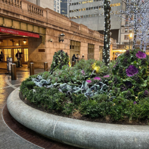 Cast iron radius drain grate in linear Que pattern, shown at base of large planters in One Vanderbilt Plaza