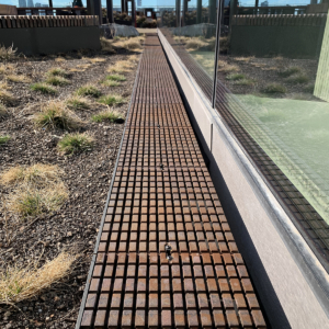 Cast iron trench drain grate in linear Plex pattern. Shown in rooftop garden.