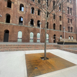 Cast iron tree grate in rectilinear Que pattern installed in front of Domino Sugar Factory building