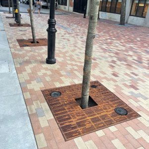 Cast iron tree grate with light hole cut-outs in linear Rain pattern, set in plaza of multicolored pavers