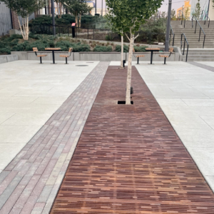 Large cast iron tree grate array in decorative Rain pattern